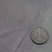 有光经编面料 全涤针织染色男装女装服装面料 现货