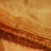 现货全涤染色里子布服装面料