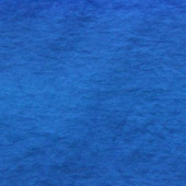 20D 起绉尼丝纺 尼龙 梭织服装面料