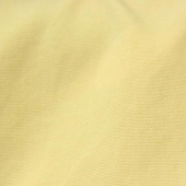 塔丝隆 全涤 梭织服装面料