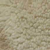 舒棉绒 全涤针织服装面料