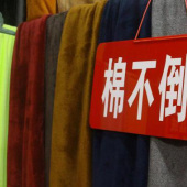 棉不倒绒面料 100%T针织染色服装面料秋冬大衣面料 现货