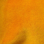 现货热销 全涤 染色 不倒绒 服装毛毯面料