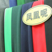 凤凰呢面料 涤纶针织染色男装女装服装面料秋冬大衣面料 现货