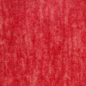 阳离子摇粒绒全涤经编服装家纺面料鞋帽面料