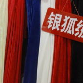 银狐绒100%T全涤针织布服装面料染色布