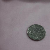 水晶绒 全涤针织服装面料