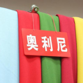 奥利尼染色布毛涤服装面料针织布