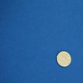 95%涤5%氨加捻罗马布针织染色服装面料