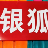 银狐绒现货染色针织服装面料