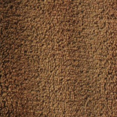 现货供应珊瑚绒 全涤针织服装染色面料