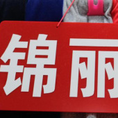 锦丽绒涤纶针织服装面料染色布