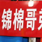 人棉锦纶染色哥弟纹针织罗马布服装面料