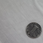 160-170门幅40支针织人棉染色服装面料