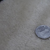 北极绒面料 全涤针织染色男装女装服装面料秋冬大衣面料 现货