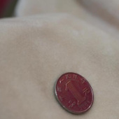 仿超柔面料 全涤针织染色男装女装服装面料秋冬大衣面料 现货