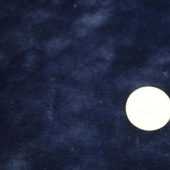 银狐绒复合面料 全涤针织染色服装面料秋冬面料 现货