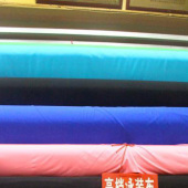 泳装布面料 100%T全涤针织染色服装面料 现
