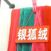 针织全涤染色银狐绒面料服装面料