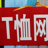 全涤染色针织T恤网眼布服装面料