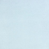 全涤染色梭织服装面料