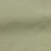 棉感记忆布 全涤梭织服装染色面料