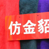 仿金貂面料 涤纶针织染色服装面料 现货