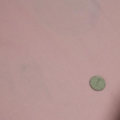 涤棉羊毛拉架染色针织服装面料