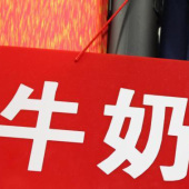全涤牛奶丝染色针织服装面料