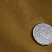 涤氨纬编针织染色服装面料