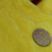 全涤针织染色银狐绒服装面料