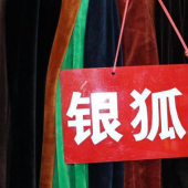 全涤针织银狐绒服装面料