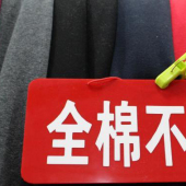 全棉不倒绒针织服装面料
