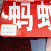 现货热销 全涤 蚂蚁绒 针织染色 大衣服装面料