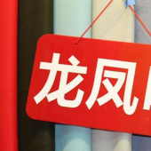 毛涤龙凤呢针织染色时尚服装面料