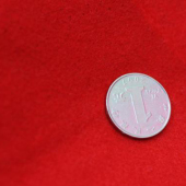中国绒 全涤梭织服装染色面料