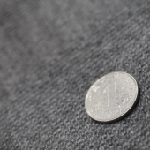 染色梭织凤凰呢服装面料