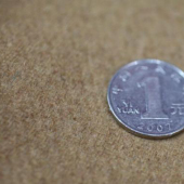 染色梭织神州呢服装面料