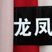 龙凤呢毛涤服装面料