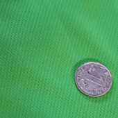 现货热销 全涤鸟眼布 针织染色 服装面料