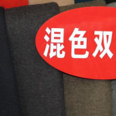 混纺染色梭织双色呢冬装面料