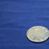 全涤平板布针织染色服装面料