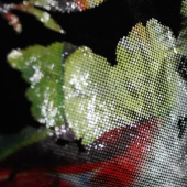 全涤金丝绒印花服装面料