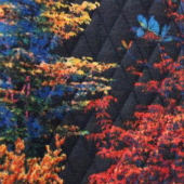 双层印花布 全涤针织服装面料