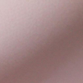 涤纶梭织染色女装面料