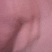 全棉10支真卫衣画毛针织染色服装面料