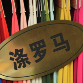 涤罗马毛涤染色服装面料