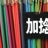 加捻哥弟针织染色服装面料