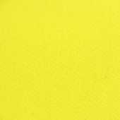 时尚女装面料 T80C17SP3 梭织染色服装面料