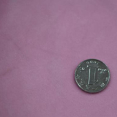 全涤水晶绒针织服装面料